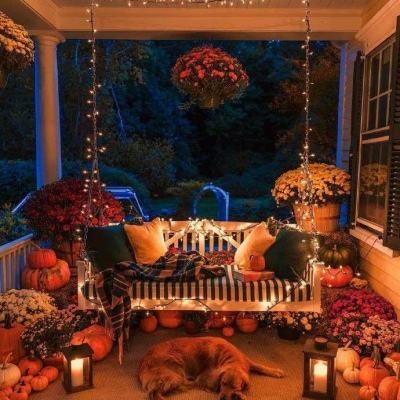 娱乐宝官网手机app下载