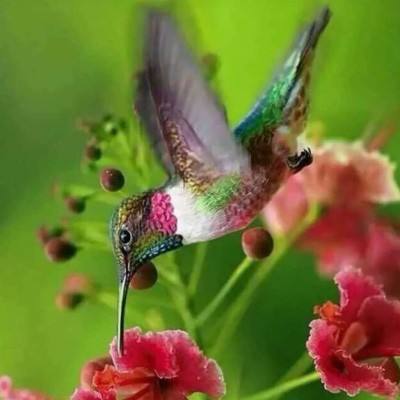 BOB体育综合app官网入口